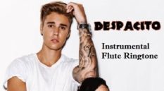 Despacito Instrumental And Flute Ringtone Download - Free Mp3 Tones