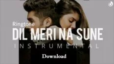 Dil Meri Na Sune Instrumental Ringtone Download - Flute Free Mobile Ringtones