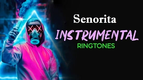 Senorita Instrumental Ringtone Download - Free Flute Tones 2020
